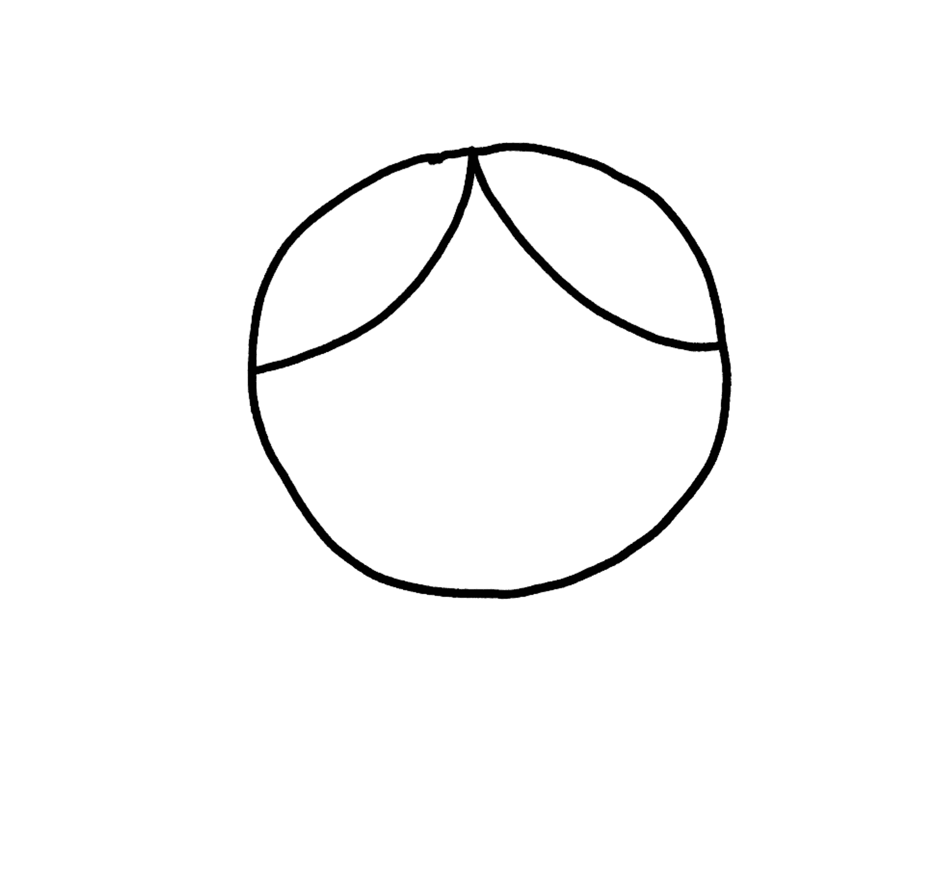 a circle with a hairline