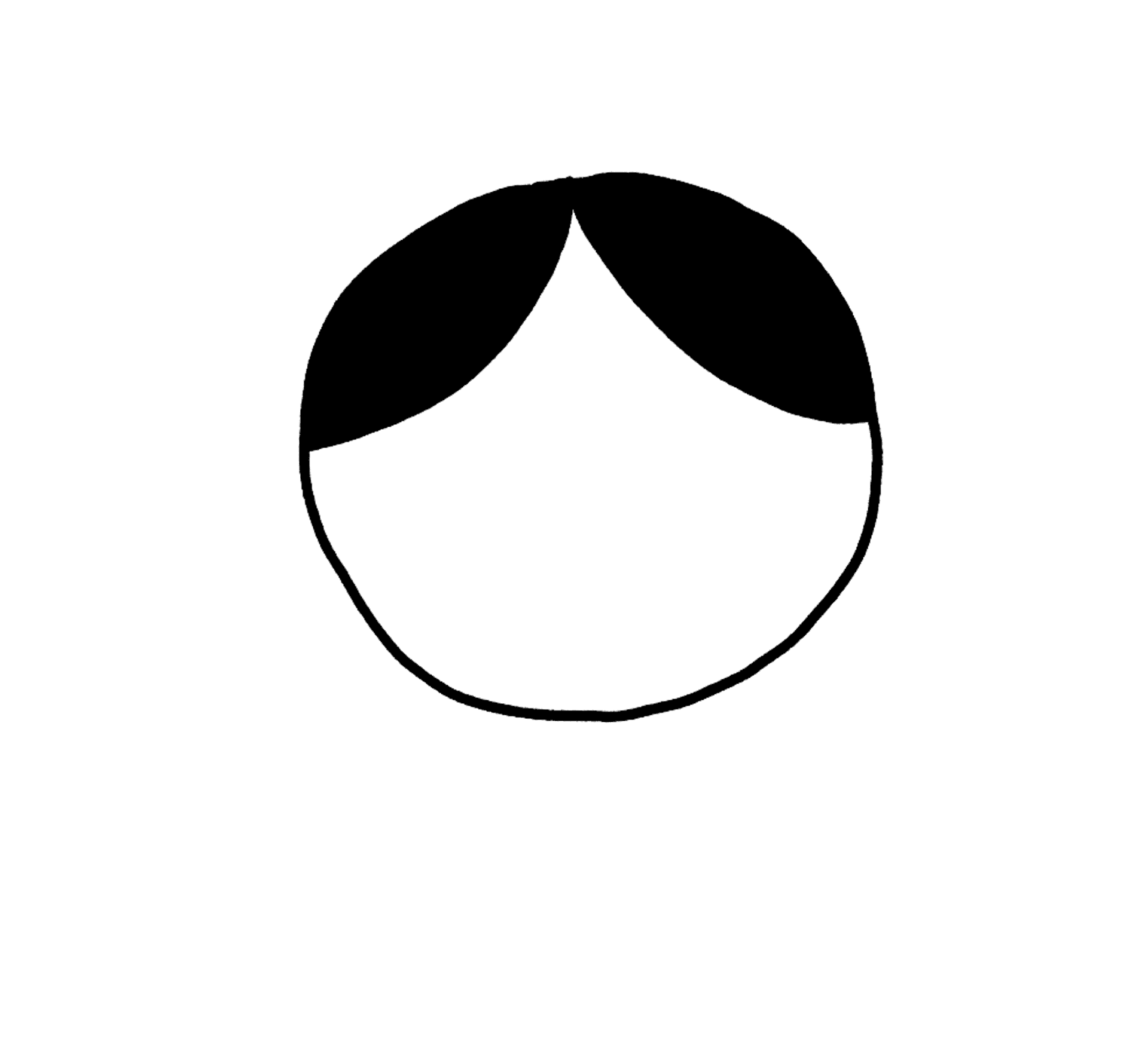 a circle with a hairline, the hair is black