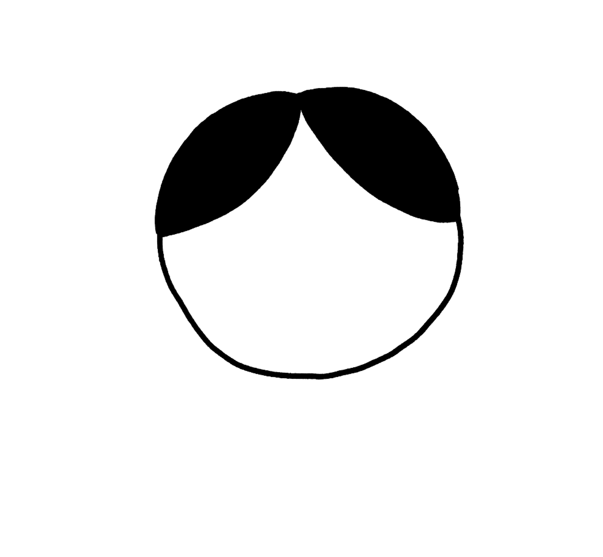 a circle with a hairline, the hair is black and puffy at the top